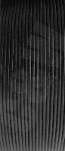 CW02209