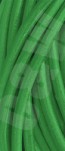 CW06205