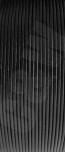CW02209